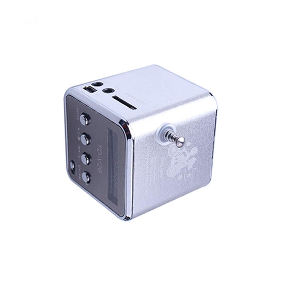 Digital FM Radio, Riloer Portable Wireless Mini Speaker MP3 Music Player for Fishing Traveling Camping Cycling, with USB Port/TF Slot/3.5mm Interface, Silver