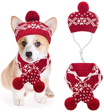 dog hat and scarf set