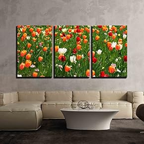 a Field of Colorful and Bright Tulips x3 Panels