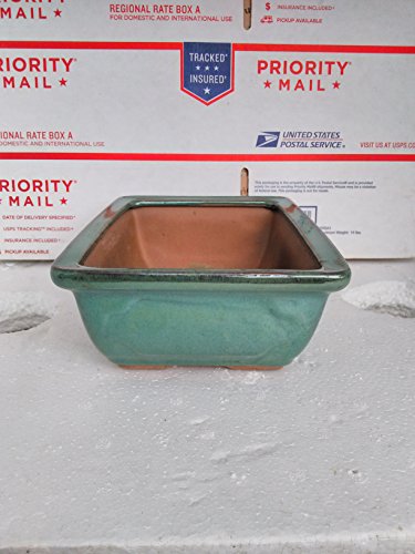 Ceramic Bonsai Pots - Japanese Jmbamboo Brand -Green Ceramic Pot Is 8x5.5'' Inches - Thumbnail 2