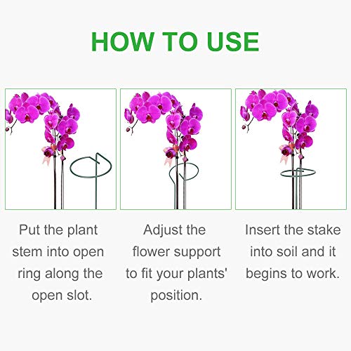 image for GROWNEER 12 Packs 36 Inches Garden Flower Support Plant Support Stakes