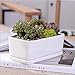 White Ceramic Rectangular Flower Pot,6.5 inch Modern Minimalist White Ceramic Succulent Planter Pot/Container with Ceramic Tray