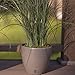 Santino, Self Watering Planter Deco 8.8 Inch, Jade, Indoor Decorative Flower Pot with Drainage Cartridge and Water Level Indicator