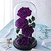 Preserved Real Rose Handmade Eternal Rose in Glass Doom Gifts for Her Valentine's Day Mother's Day Anniversary Birthday (3 Purple Rose)