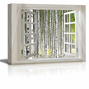 Glimpse into Birch Trees Forest Out of Open...