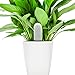 HHCC Xiaomi 4 in 1 Plant Flower Care Smart Monitor, White
