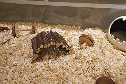 andwe Apple Twig Ladder Wooden Fun Bridge for Hamster Rats Sugar Gliders Mice Gerbils - Pet Cage Toys Habitat Decor