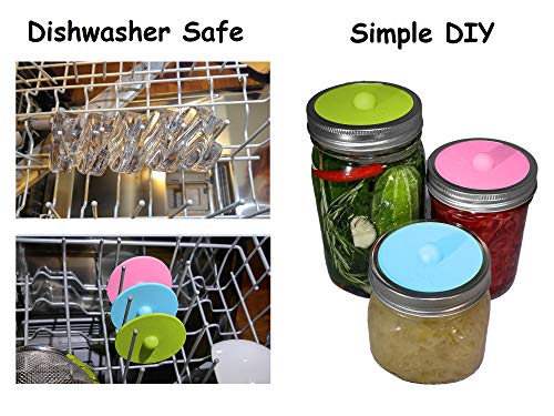 4 kit+Complete+fermentation+Sauerkraut+fermented+food+Premium