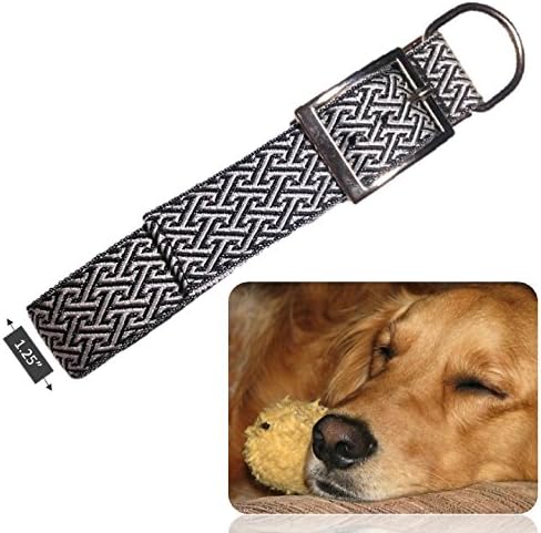 Genie Best Basic Cushion Nylon Dog Collar 1.25" Width for Medium Dogs with Strong/Long Necks. Comfy Padding & Metal Buckle D-Ring. Free Travel Bowl & eGuide (Black)
