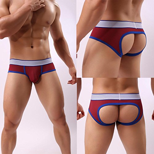5 PCS Mens Underwear,Leedford Hollow Out Low-Rise Bulge Pouch Soft Brief Underpants (M, multicolored)
