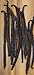 Gourmet Tahitian Vanilla Beans (10 beans)
