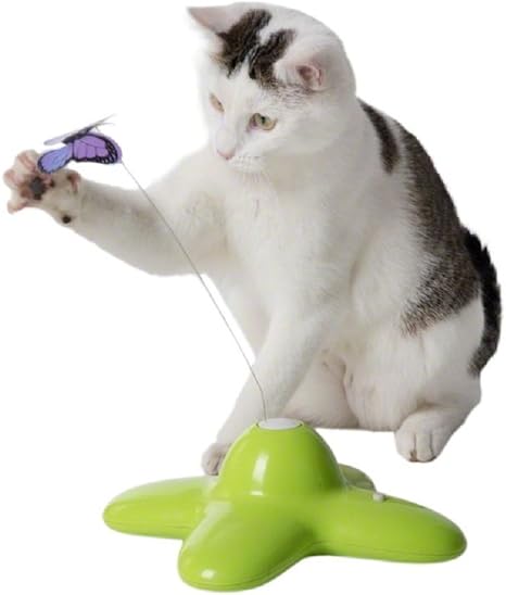 Jouet Pour Chat Papillon Flottant Qui Stimule L Instinct De Joueur Et De Chasseur Amazon Fr Animalerie