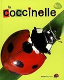 La coccinelle by