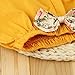 puseky Infant Toddler Baby Girls Floral Ruffle Shirt & Shorts Clothes Outfit Set