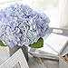 Butterfly Craze Blue Artificial Hydrangeas - Faux Silk Flowers for Wedding Bouquets, Flower Arrangements, Home and Office Decorations - 3 Stems per Bundle