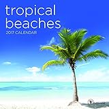 2017 Tropical Beaches Mini Calendar by 