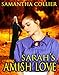 Sarah's Amish Love