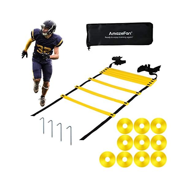 amazon workout ladder