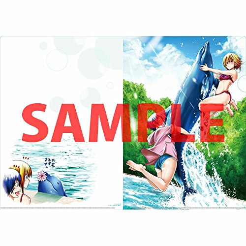 ぐらんぶる 10 とらのあな特典 クリアファイルの買取価格 相場 高価買取なら買取一括比較のウリドキ