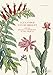 Alexander von Humboldt: The Botanical Exploration of the Americas
