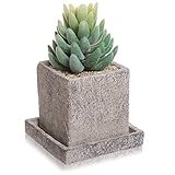 Small Decorative Gray Cement Textured Square Succulent Plant Pot with Water Draining Dish - MyGift