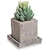 Small Decorative Gray Cement Textured Square Succulent Plant Pot with Water Draining Dish - MyGift
