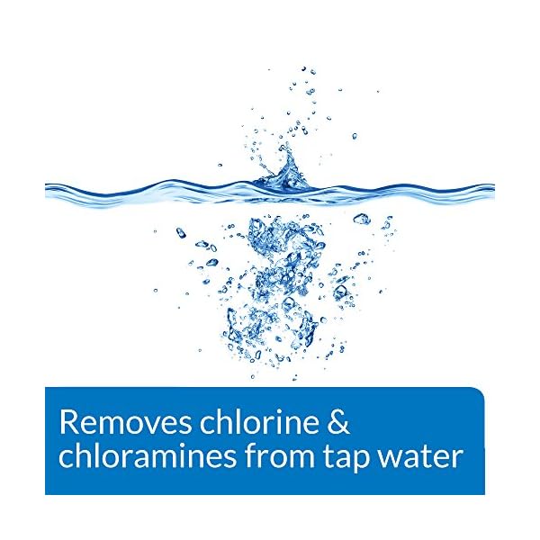API TAP WATER CONDITIONER Aquarium Water Conditioner Bottle,White, 473 ml
