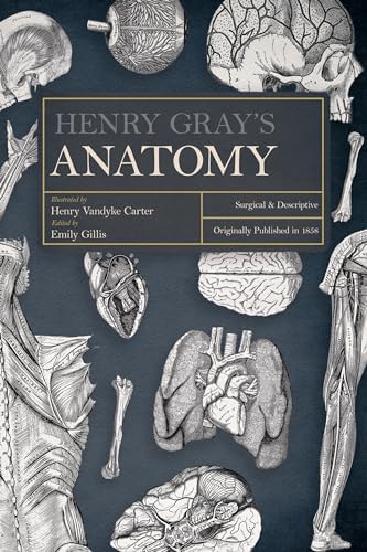 Gray's Anatomy Descriptive and Applied: J Johnston T B; Whillis