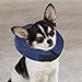Total Pet Health Inflatable Dog Collars - Veterinarian-Approved Collars Designed to Prevent Pets from Scratching and Biting at Injuries, Stitches, Rashes, and Wounds - Medium, Blue