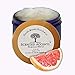 South Beach Salt Scrub 100% All Natural Body Scrub, Fresh Made Ocean Salt Scrub Infused with Essential Oils, Gentle Exfoliating Body Scrub for Face and Body, Coconut Scrub, Body Polish, Vegan