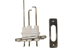 PLUMBQ Ignitor & Flame Rod 30028036A NPE-2/NCB-H