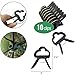 PeerBasics Indoor Plant Trellis Parent (6 Bundle)