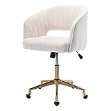 Nrizc Velvet Office Desk Chair, Upholstered Home