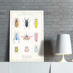 Canvas Wall Art - Hand Drawn Insect Collection Single Artwork - Giclee Print Gallery Wrap Modern Home Art Ready to Hang - 12x18 inches