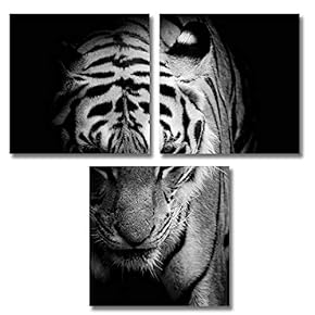 3 Piece Canvas Wall Art for Living Room Bedroom Home Artwork Animal Paintings Ready to Hang - 12"x12"x3 Panels