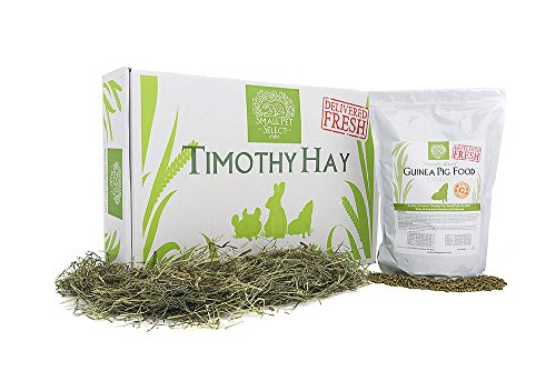 Small Pet Select Combo Pack, Timothy Hay (10 lb.) and Guinea Pig Food (5 lb.)