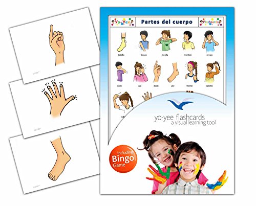 Body Parts Flashcards in Spanish Language - Flash Cards with Matching Bingo Game for Toddlers, Kids, Children and Adults - Size 4.13  5.83 in - DIN A6