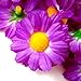 (100) Silk Violet Gerbera Daisy Flower Heads , Gerber Daisies - 1.75