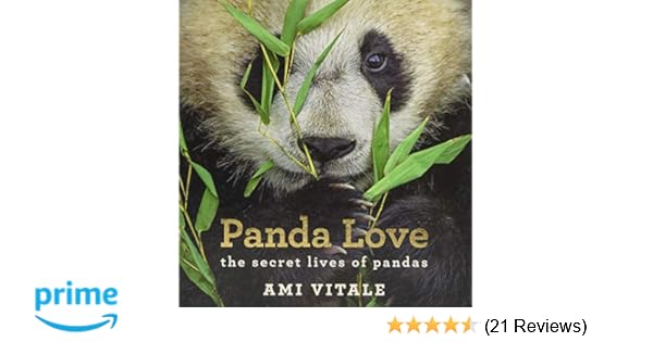 Amazon Com Panda Love The Secret Lives Of Pandas 9781784881276