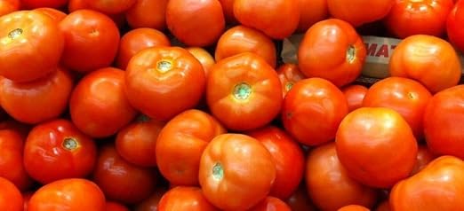 PLAT FIRM GERMINACION SEMILLAS: 50 - Semillas: Caribe tomate ...