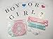 Gender Reveal Party Supplies Gender Reveal Decorations BOY OR Girl? Banner with Tissue Pom Poms Paper Lanterns Baby Blue Pink for Birthday/Pink and Blue Decorations