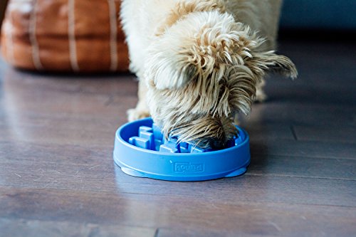 Outward Hound Fun Feeder Slo Bowl Healthy Slow Feeding Dog Bowl