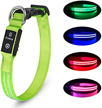 Rechargeable Led Dog Collar