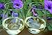 Simply Charmed High Heels Wine Glass Charms & Magnetic Drink Markers Novelty Glass Markers, Set Of 6