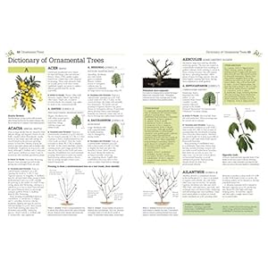 Pruning and Training, Revised New Edition: What, When, and How to Prune