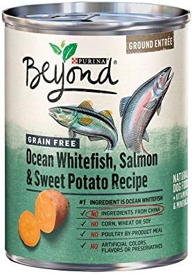 purina beyond ocean whitefish