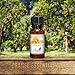 Top 6 Essential Oils Gift Set for Diffuser - #1 Voted Christmas Gifts for Mom, Wife, Women, Grandma, Her for Aromatherapy by Aviano Botanicalsm