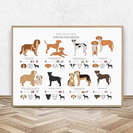 Amazon Co Jp Liwendi 狩猟犬種コレクションポスター壁アートキャンバス絵画犬愛好家ギフト創造的な北欧画像リビングルーム家の装飾42 60センチ ホーム キッチン