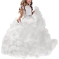 Stunning V-Back Luxury Pageant Tulle Ball Gowns for Girls 2-12 Year Old