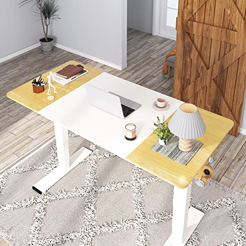 FLEXISPOT EP4 Electric Standing Desk Dual Motor 3 Stages Height